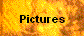 Pictures